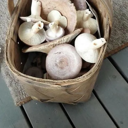Feriehus Topin Tupa 1 Oravisalo