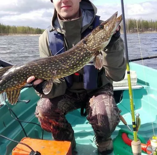 Topin Tupa 1 Vakantiehuis Oravisalo