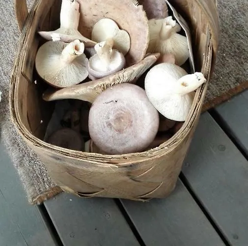 Vakantiehuis Topin Tupa 1 Oravisalo